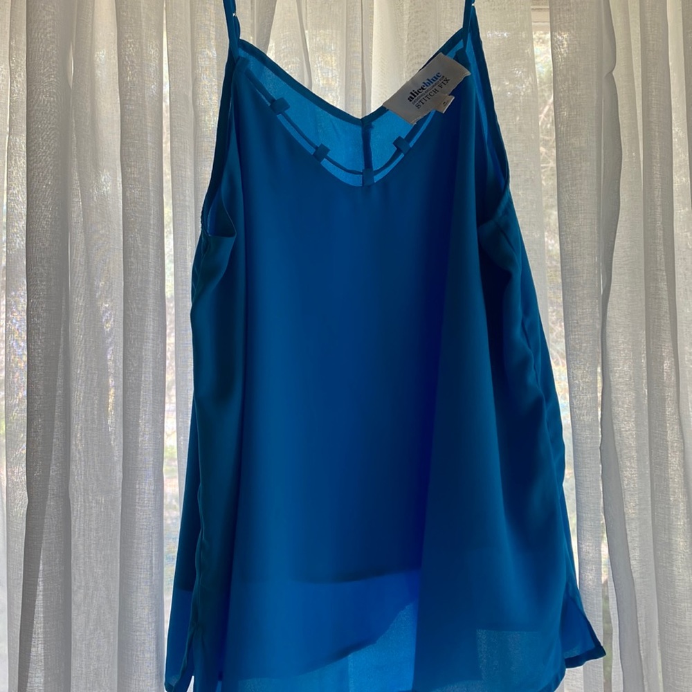 Blue camisole top